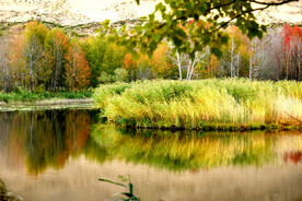 新疆阿勒泰风光