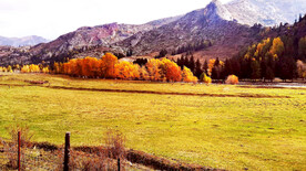 新疆阿勒泰风光