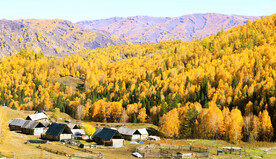 新疆阿勒泰风光