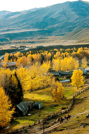 新疆阿勒泰风光