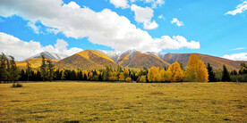 新疆阿勒泰风光