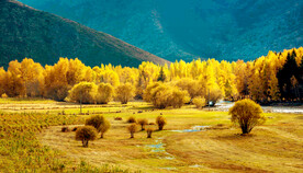 新疆阿勒泰风光