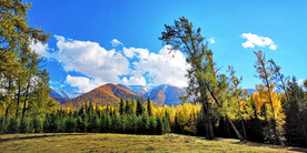 新疆阿勒泰风光