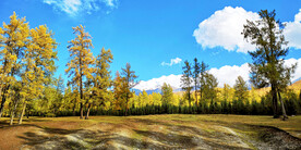 新疆阿勒泰风光