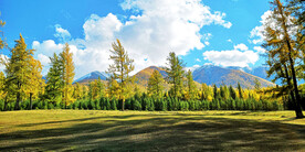 新疆阿勒泰风光