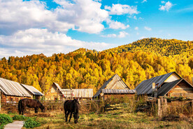新疆阿勒泰风光