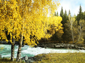 新疆阿勒泰风光