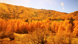 新疆阿勒泰风光