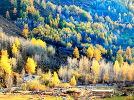 新疆阿勒泰风光