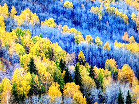 新疆阿勒泰风光