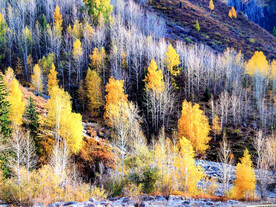 新疆阿勒泰风光