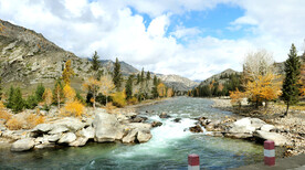 新疆阿勒泰风光