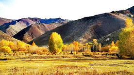 新疆阿勒泰风光