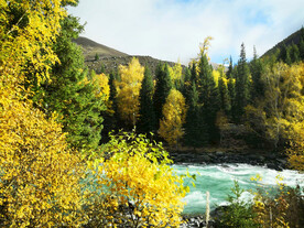 新疆阿勒泰风光