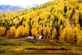 新疆阿勒泰风光