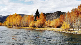 新疆阿勒泰风光