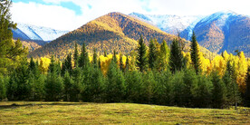 新疆阿勒泰风光