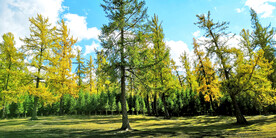 新疆阿勒泰风光