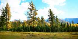 新疆阿勒泰风光