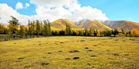 新疆阿勒泰风光