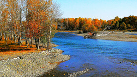 新疆阿勒泰风光