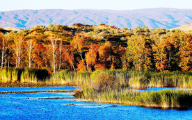 新疆阿勒泰风光