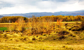 新疆阿勒泰风光