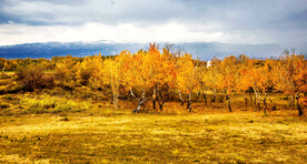 新疆阿勒泰风光
