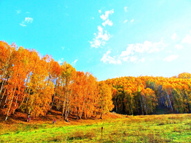 新疆阿勒泰风光