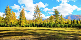 新疆阿勒泰风光