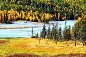 新疆阿勒泰风光