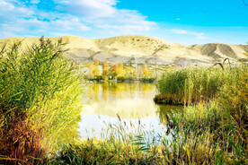 新疆阿勒泰风光