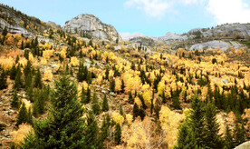 新疆阿勒泰风光