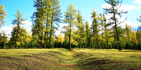 新疆阿勒泰风光