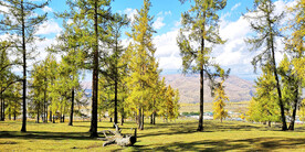 新疆阿勒泰风光