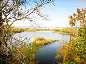 新疆阿勒泰风光