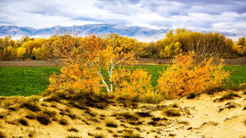 新疆阿勒泰风光