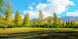 新疆阿勒泰风光