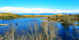 新疆阿勒泰风光