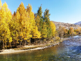 新疆阿勒泰风光