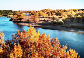 新疆阿勒泰风光