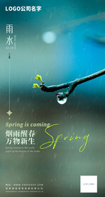 雨水节气海报