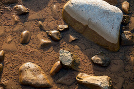 暮色 河床  石头 