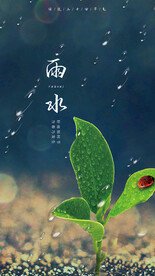 雨水海报