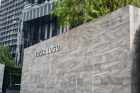 公司形象logo样机 