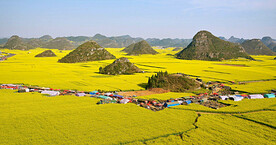 罗平油菜花景区