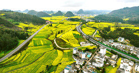 罗平油菜花景区