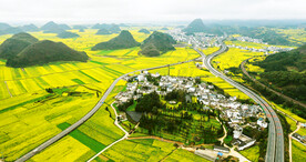 罗平油菜花景区