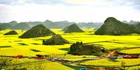 罗平油菜花景区