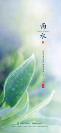 雨水节气海报